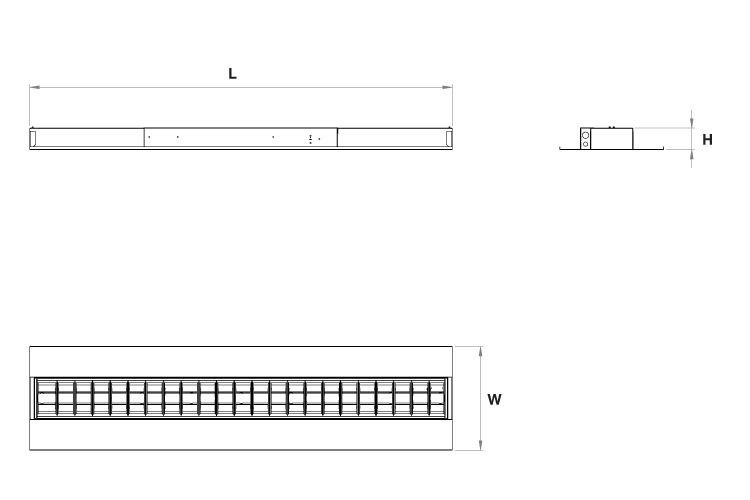 Multifive Dimensions v1 030521