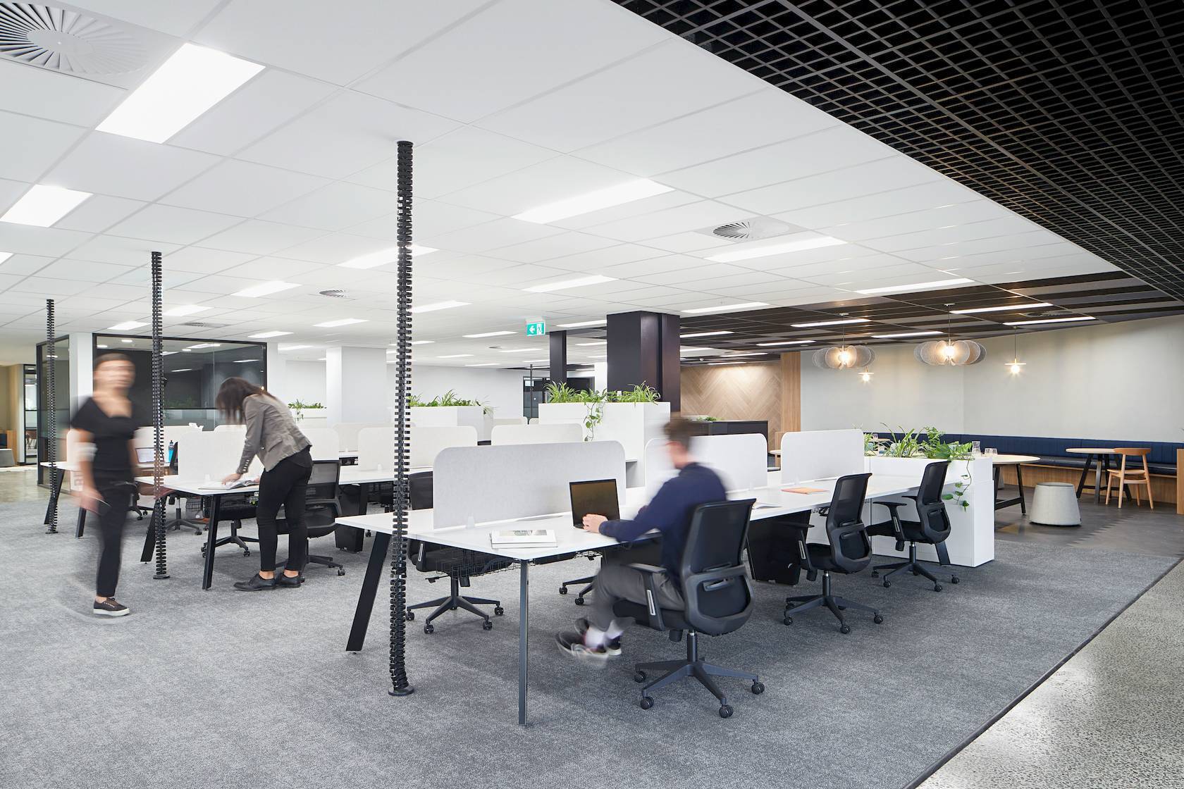 Mc Cormack 412 St Kilda Rd SMG 0180