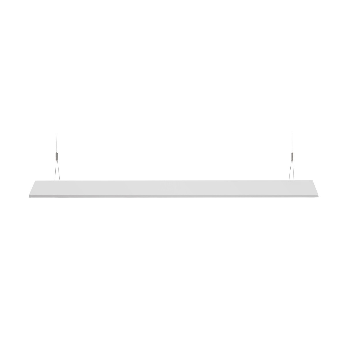 20250207 P Eagle Lighting Omni POD 019 WE Bsq